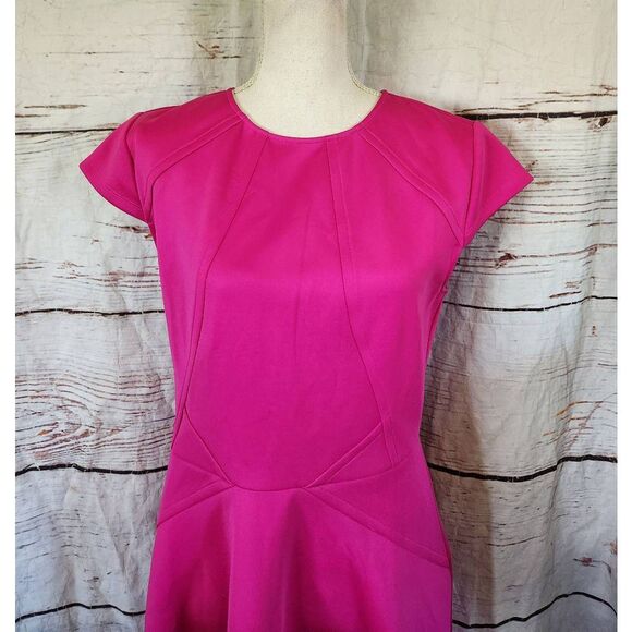 Ted Baker Eebrr Skater Dress Size 10 - Picture 5 of 8